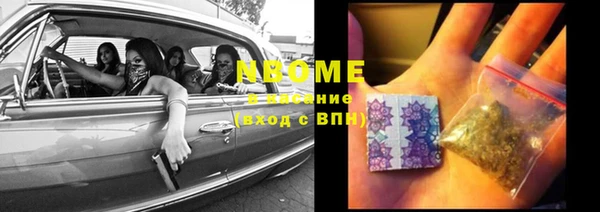 ПСИЛОЦИБИНОВЫЕ ГРИБЫ Арсеньев