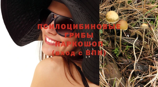 стаф Няндома