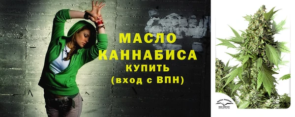 ПСИЛОЦИБИНОВЫЕ ГРИБЫ Арсеньев