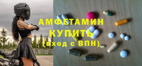 ПСИЛОЦИБИНОВЫЕ ГРИБЫ Арсеньев