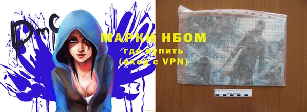 ПСИЛОЦИБИНОВЫЕ ГРИБЫ Арсеньев