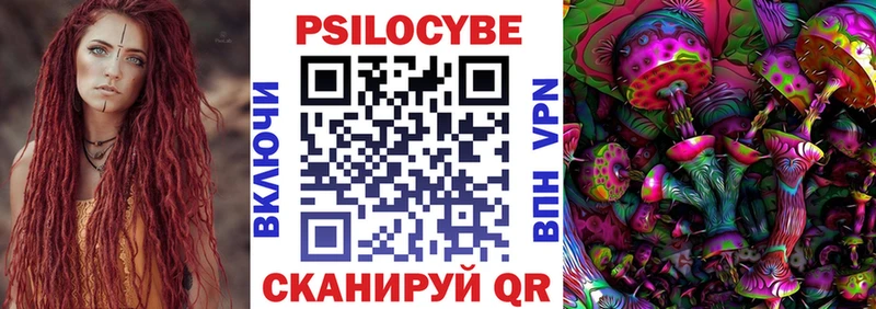 Псилоцибиновые грибы Cubensis  даркнет сайт  Сертолово 
